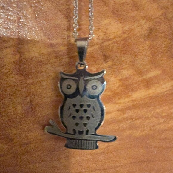 Stainless 'Cedar Paddle' Owl necklace - Picture 1 of 4